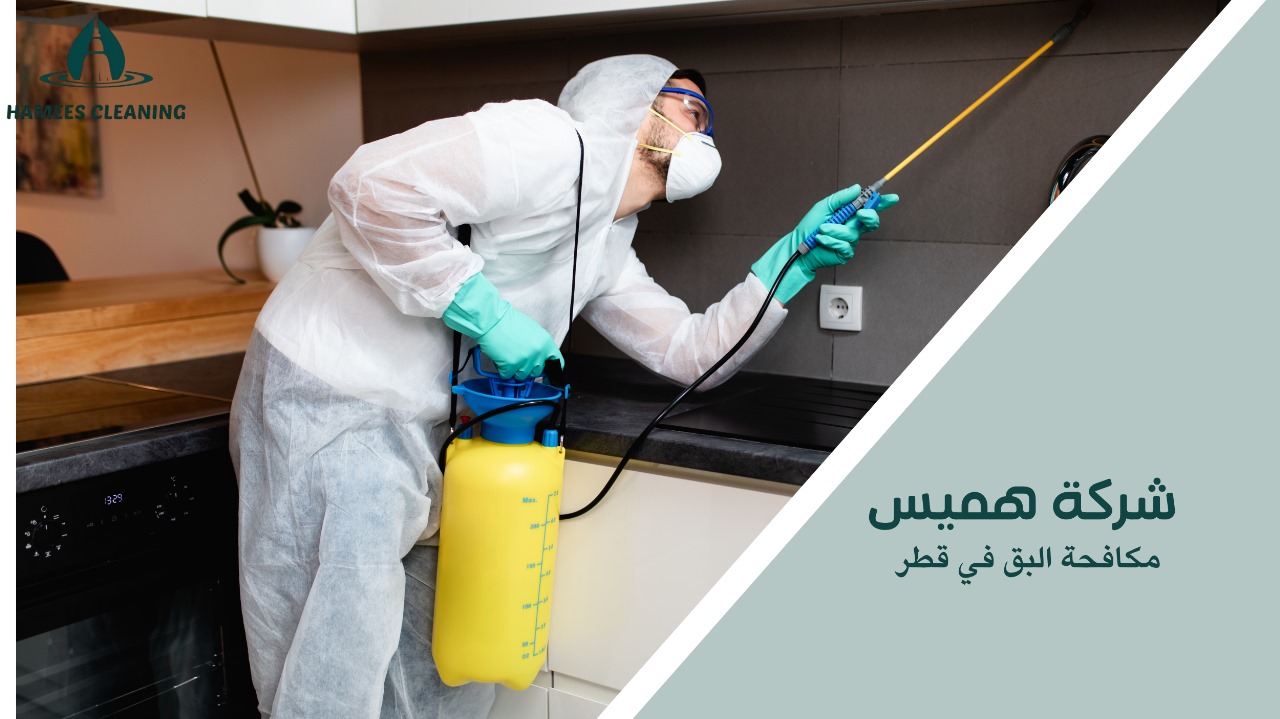 كيفية تجنب أخطاء عند مكافحة البق في قطر