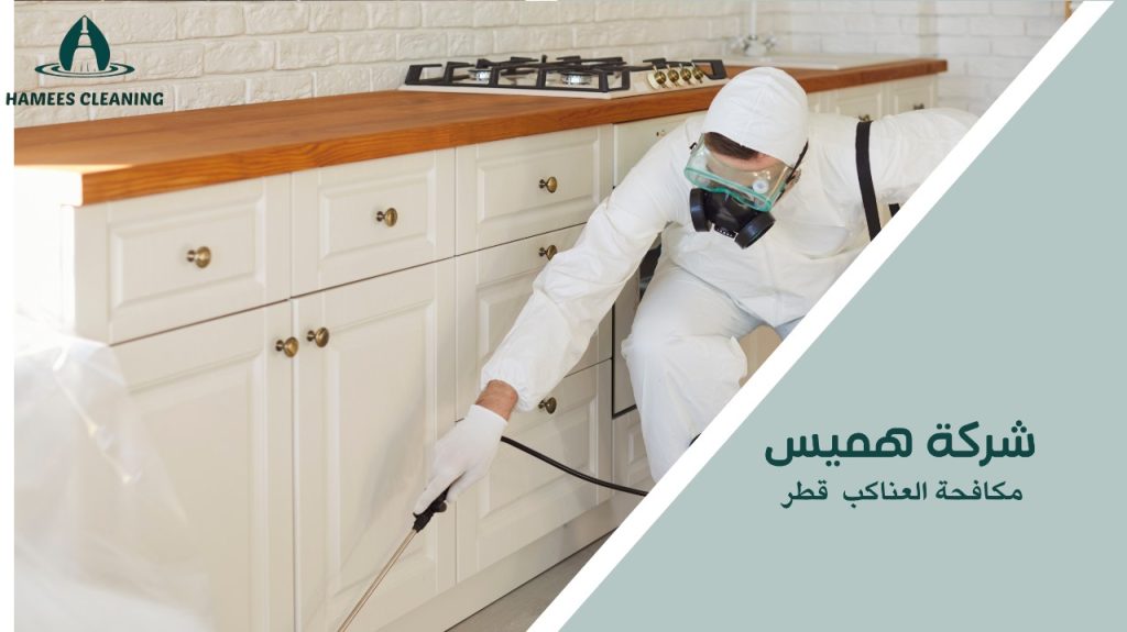 نصائح مكافحة العناكب قطر