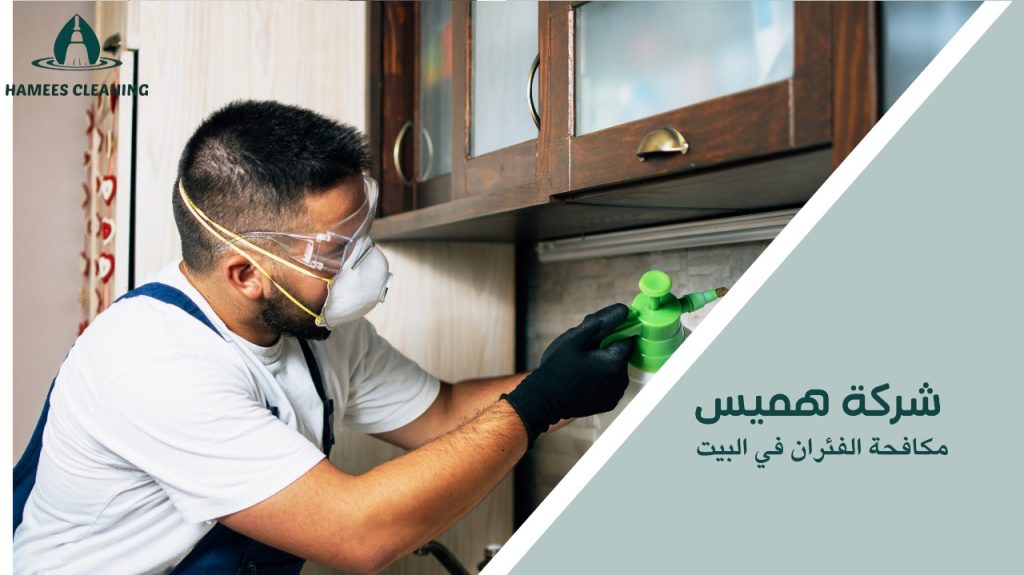 مكافحة الفئران في البيت