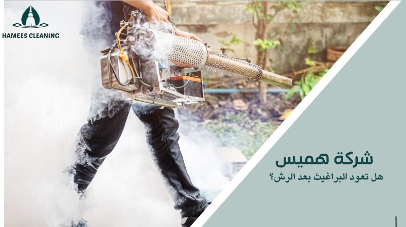 هل تعود البراغيث بعد الرش؟