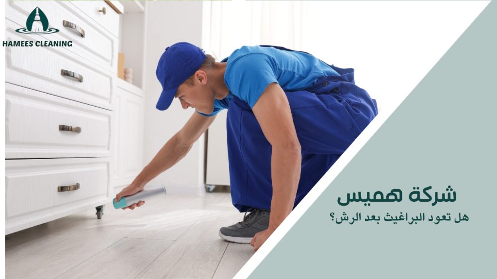 هل تعود البراغيث بعد الرش؟