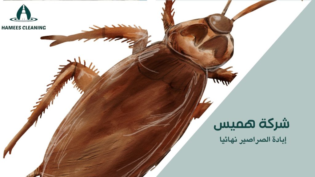 إبادة الصراصير نهائيا