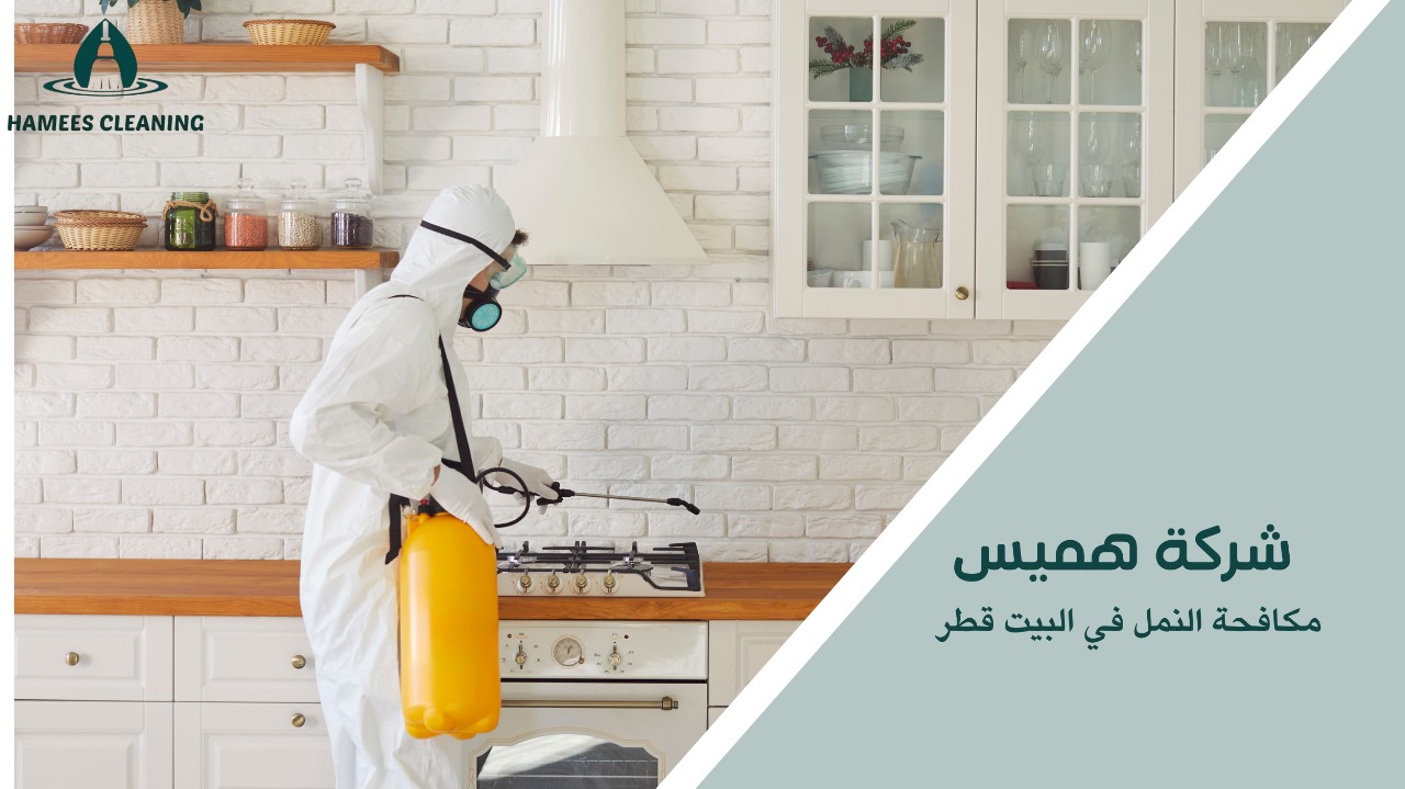 مكافحة النمل في البيت قطر