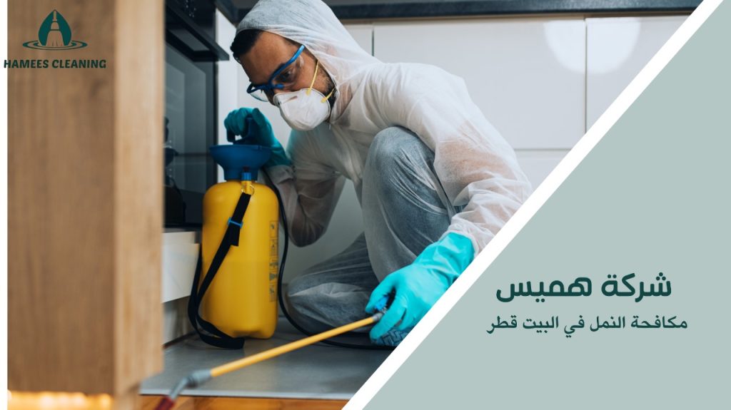 مكافحة النمل في البيت قطر