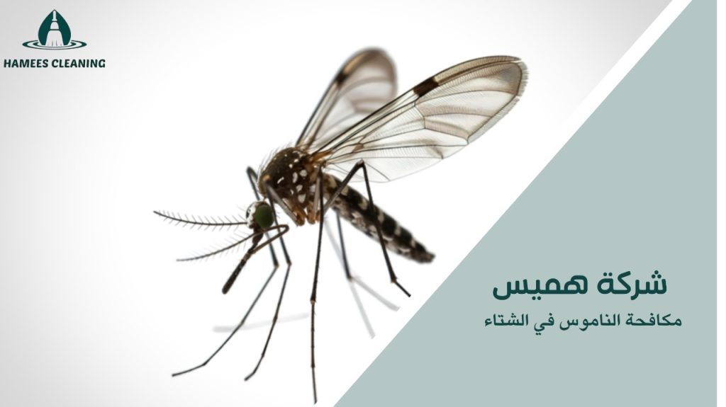 مكافحة الناموس في الشتاء