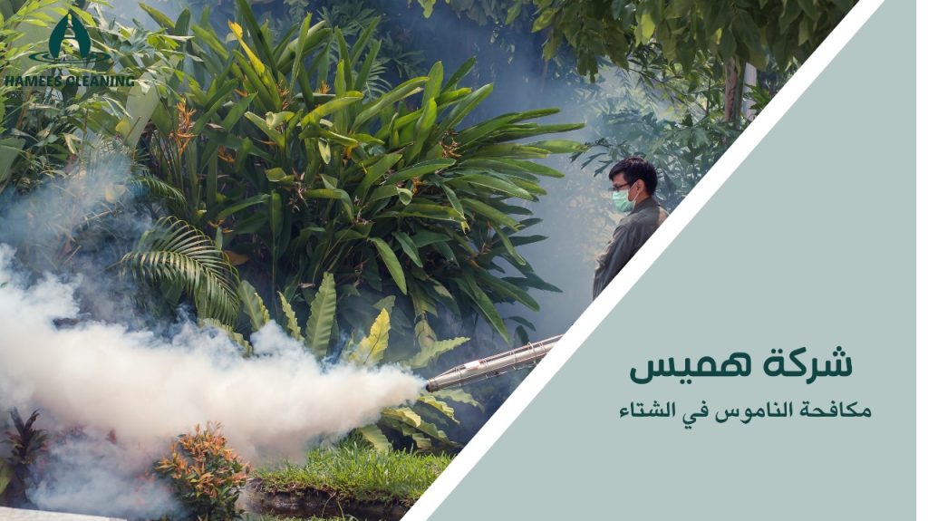 مكافحة الناموس في الشتاء