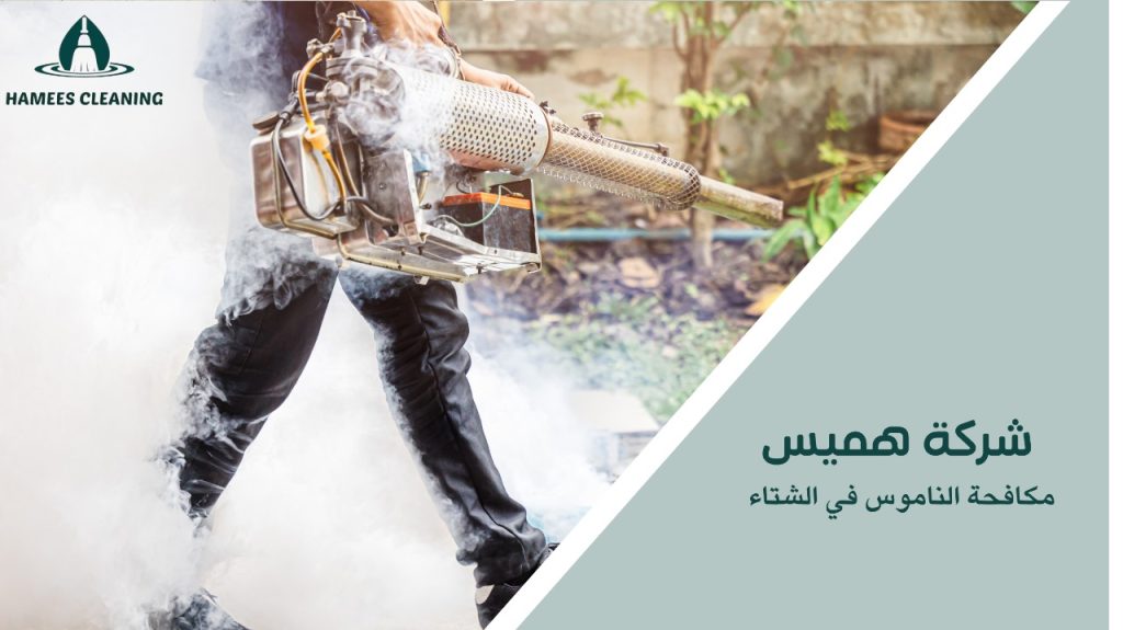 مكافحة الناموس في الشتاء