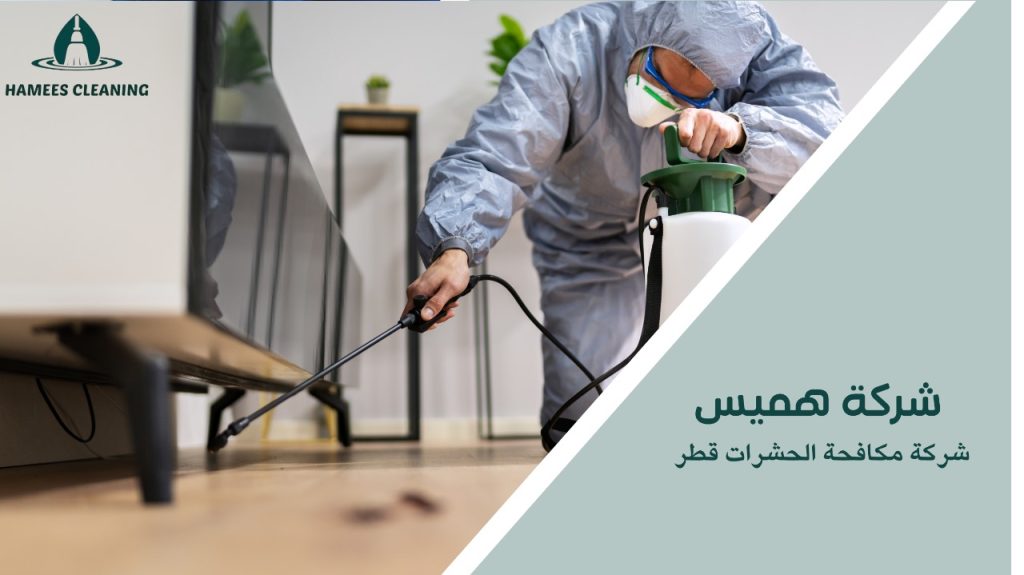 شركة مكافحة الحشرات قطر