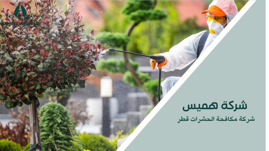 شركة مكافحة الحشرات قطر