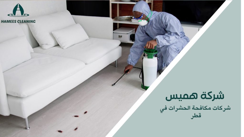 شركات مكافحة الحشرات في قطر