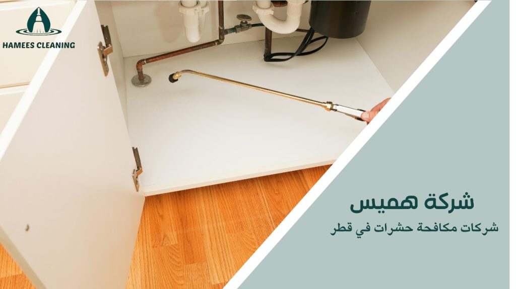 شركات مكافحة حشرات في قطر