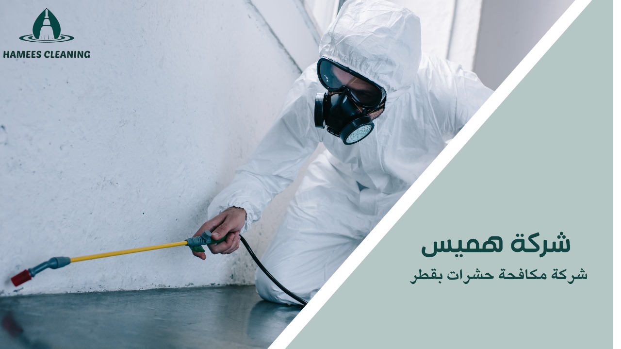 شركة مكافحة حشرات بقطر