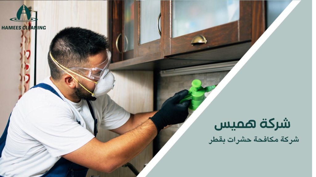 شركة مكافحة حشرات بقطر