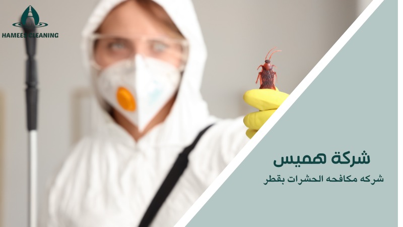 شركه مكافحه الحشرات بقطر