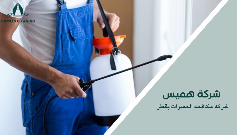 شركه مكافحه الحشرات بقطر