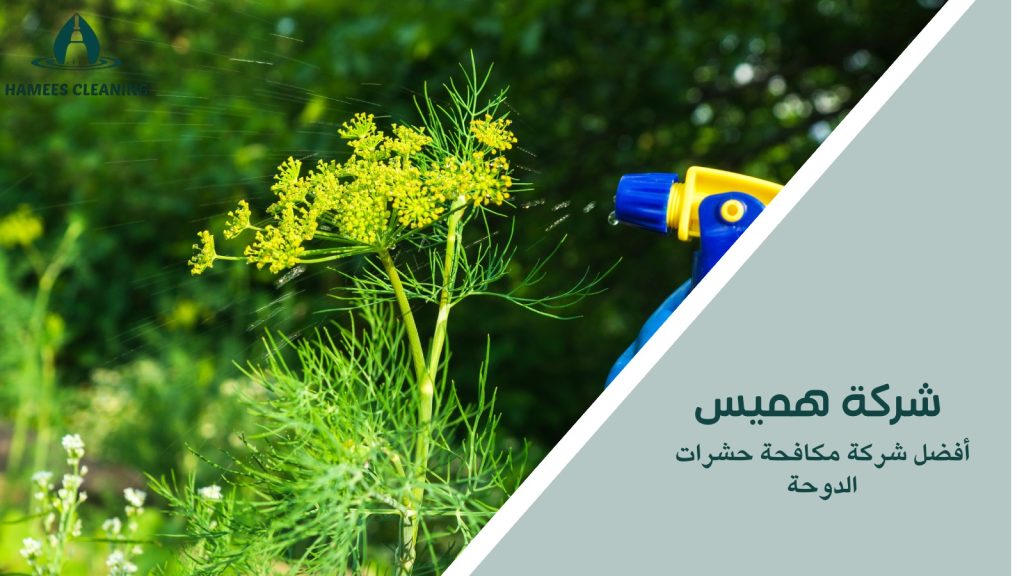 أفضل شركة مكافحة حشرات الدوحة