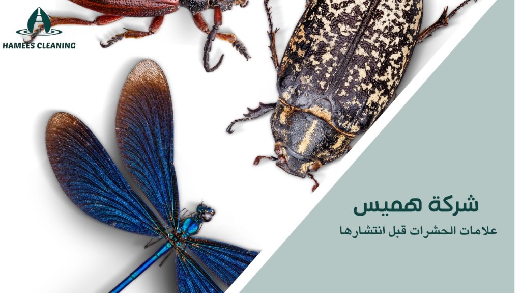 علامات الحشرات قبل انتشارها