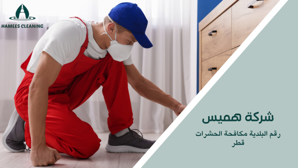 رقم البلدية مكافحة الحشرات قطر