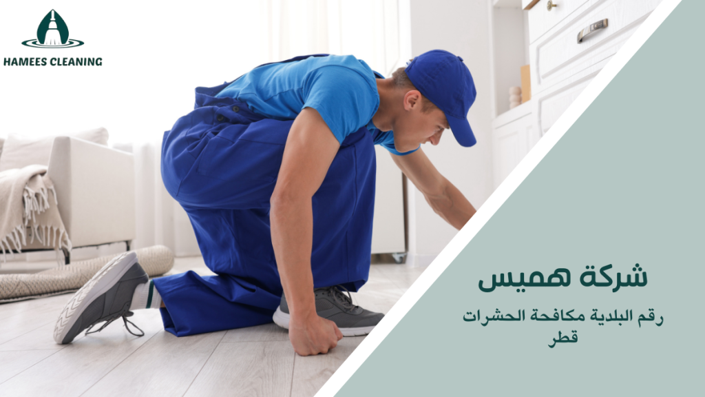 رقم البلدية مكافحة الحشرات قطر