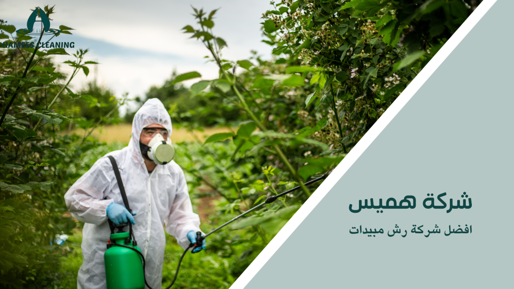 أفضل شركة رش مبيدات
