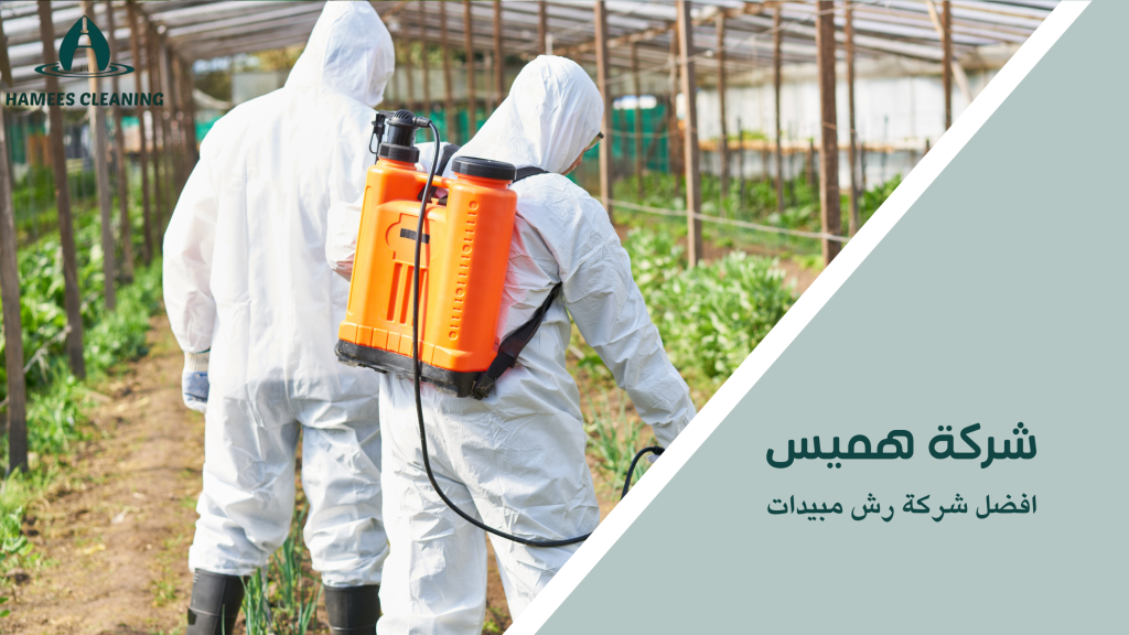 أفضل شركة رش مبيدات