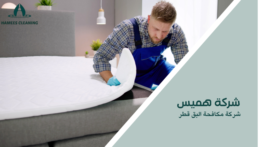 شركة مكافحة البق قطر