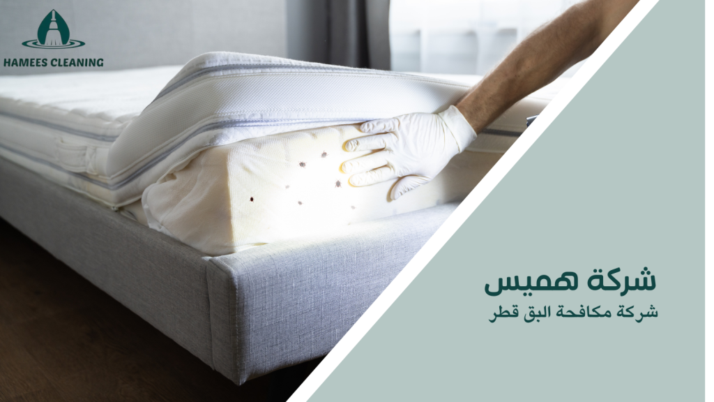 شركة مكافحة البق قطر