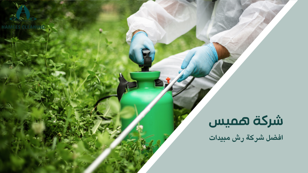 أفضل شركة رش مبيدات