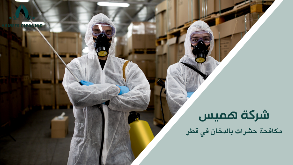 مكافحة حشرات بالدخان في قطر