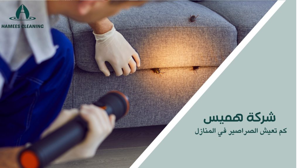 كم تعيش الصراصير في المنازل