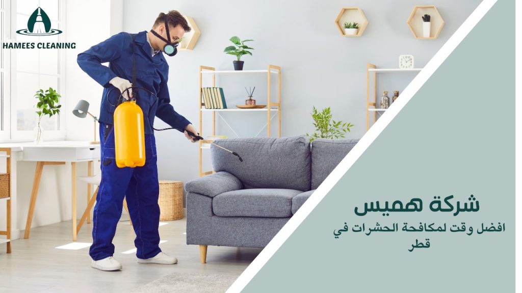 أفضل وقت لمكافحة الحشرات في قطر