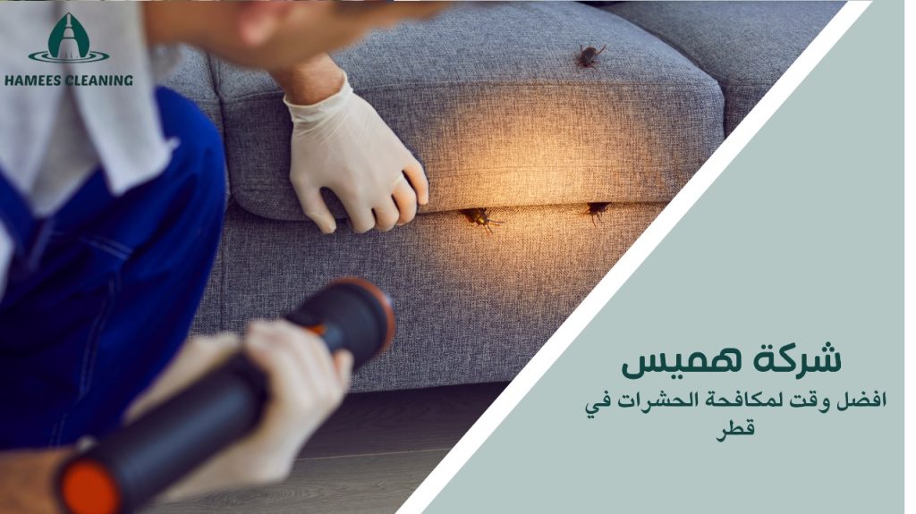 أفضل وقت لمكافحة الحشرات في قطر