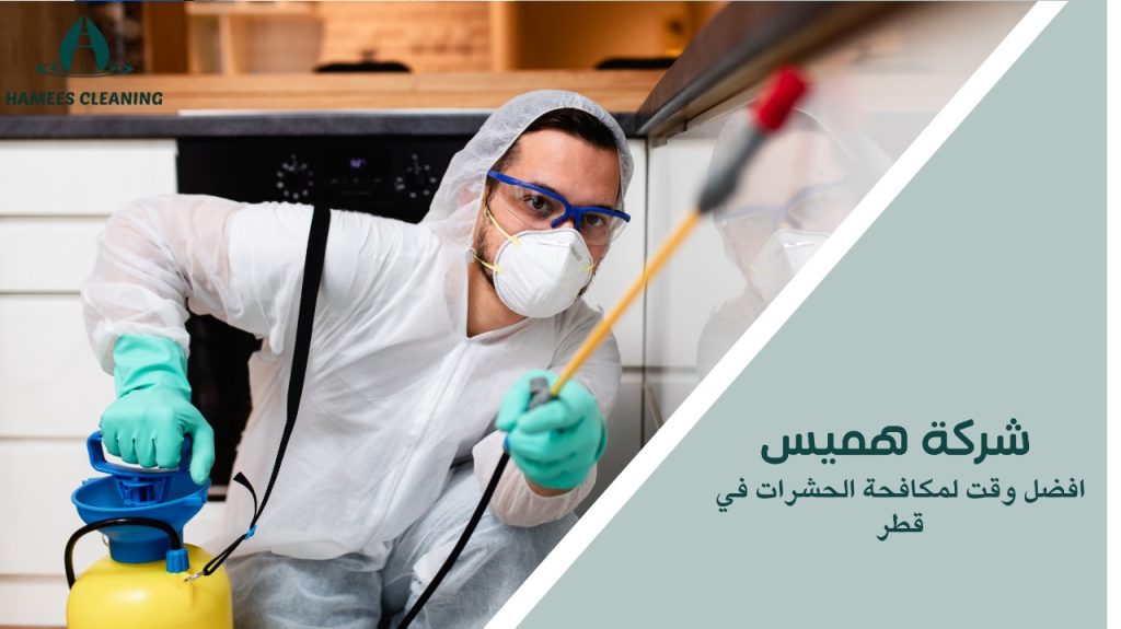 أفضل وقت لمكافحة الحشرات في قطر