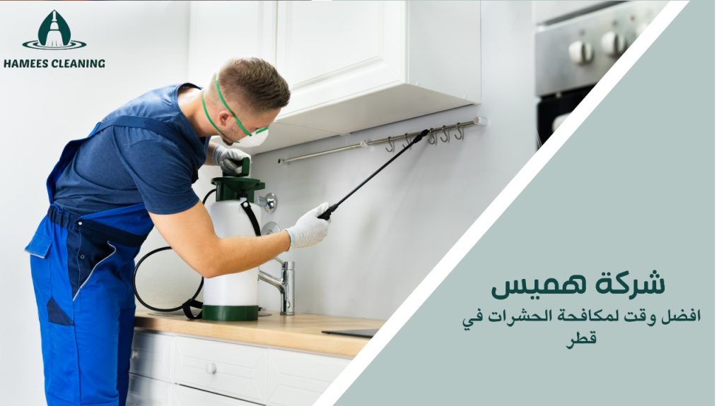 أفضل وقت لمكافحة الحشرات في قطر