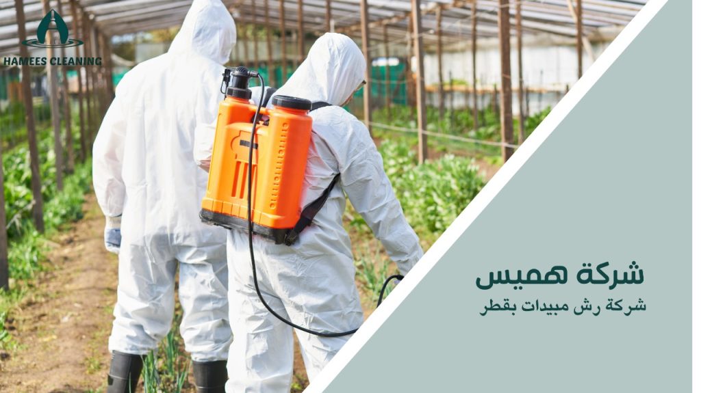 شركة رش مبيدات بقطر