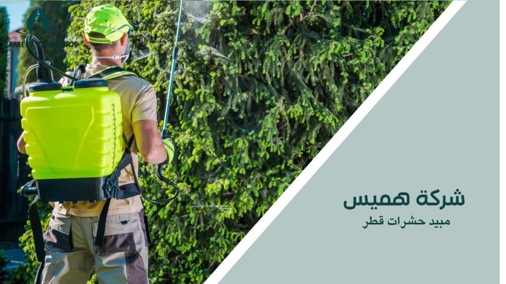 مبيد حشرات قطر