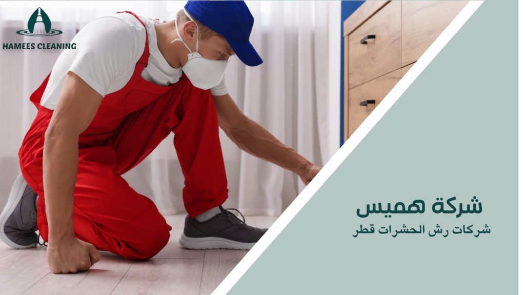 شركات رش الحشرات قطر