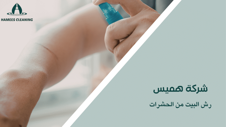 رش البيت من الحشرات