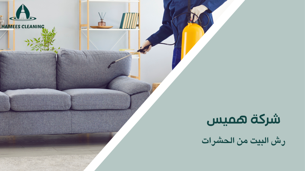 رش البيت من الحشرات