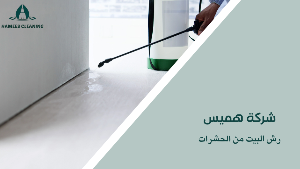 رش البيت من الحشرات