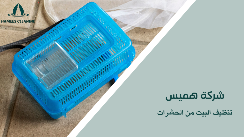 تنظيف البيت من الحشرات