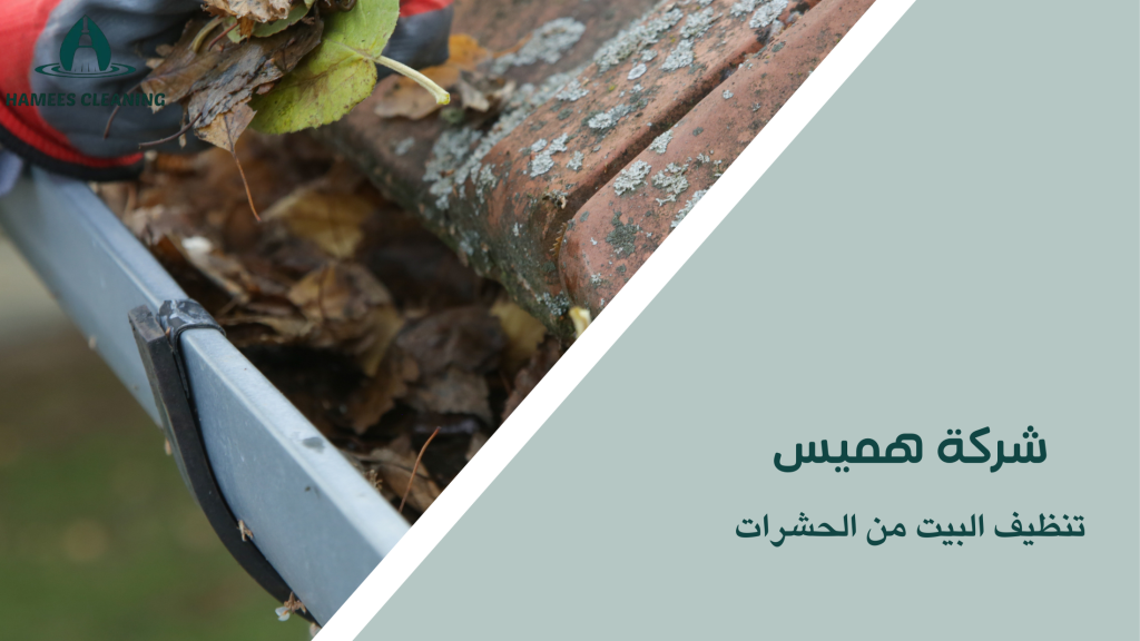 تنظيف البيت من الحشرات