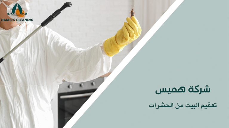 تعقيم البيت من الحشرات