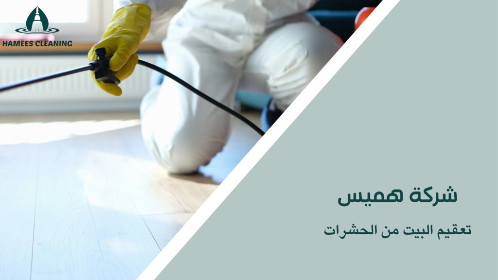 تعقيم البيت من الحشرات