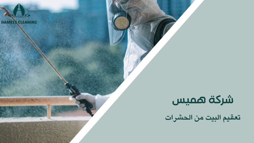 تعقيم البيت من الحشرات