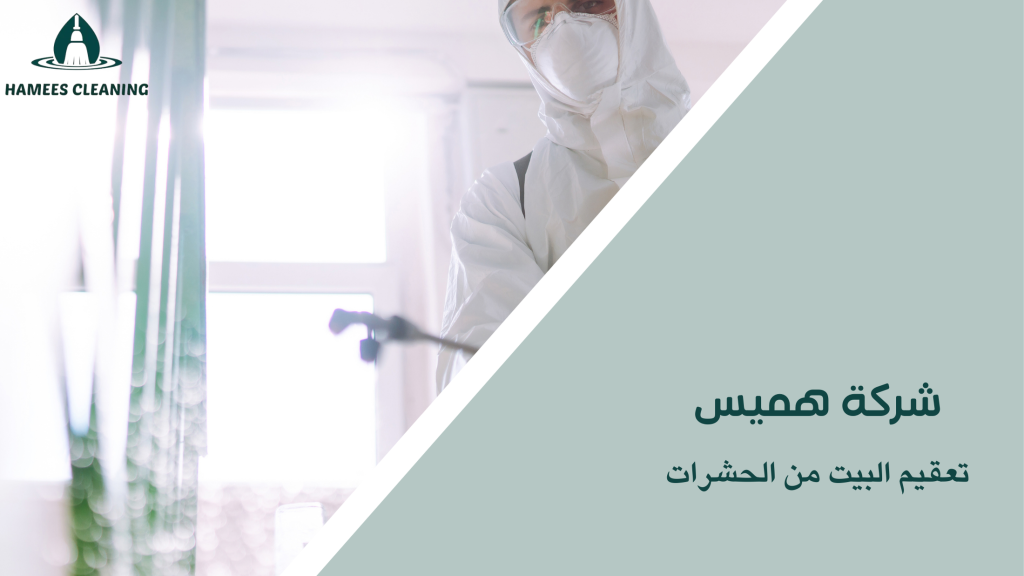 تعقيم البيت من الحشرات