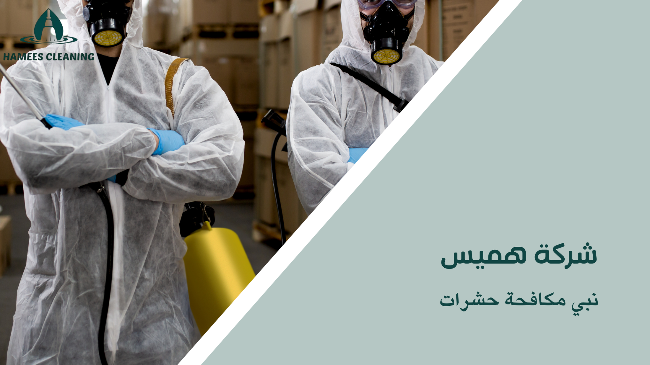 نبي مكافحة حشرات