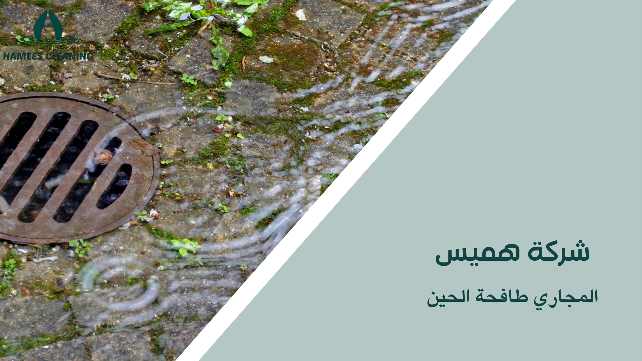 المجاري طافحة الحين