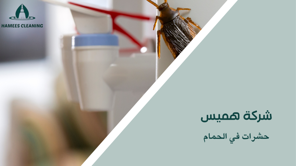 حشرات في الحمام