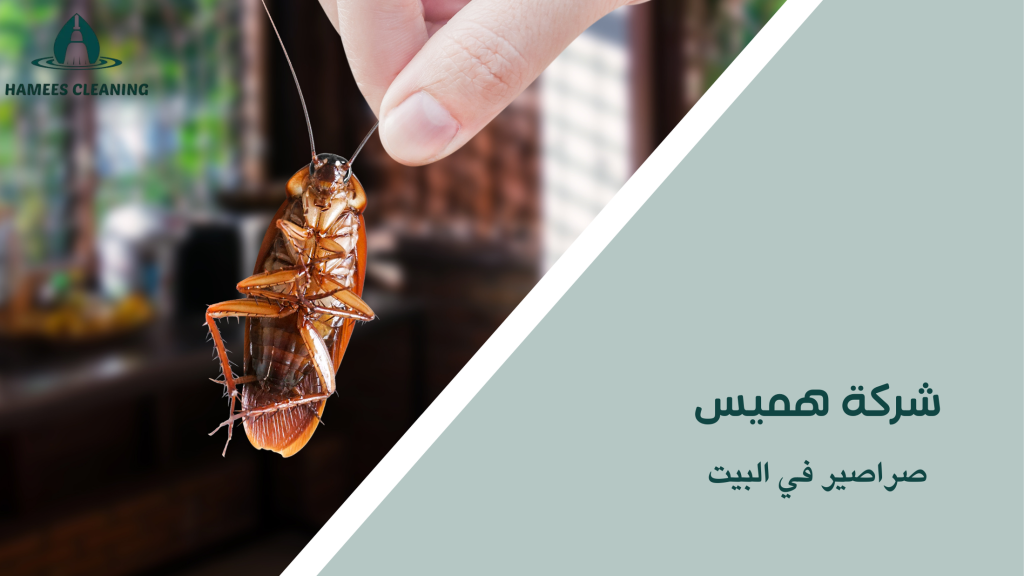 صراصير في البيت